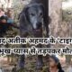Prayagraj Municipal Corporation team reached to pick up foreign origin dogs of Bahubali MP Atiq Ahmed