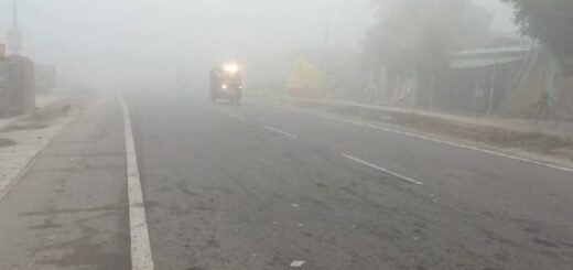 Basti News The weather has stretched itself, the Terai is wrapped in a blanket of fog