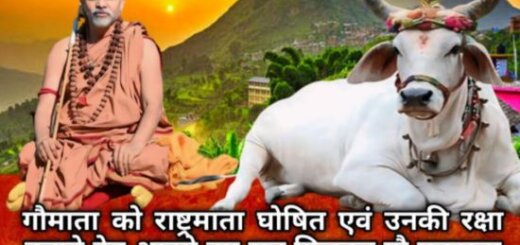 Delay in declaring cow as the mother of the nation is now intolerable- Jyotishpeeth Shankaracharya